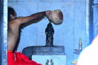 Brahmakalashanga Rathotsava at Shrimath Anantheshwar Temple Vittal (4 May 2025)
